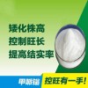 缩节胺可溶性粉生产厂家供应商